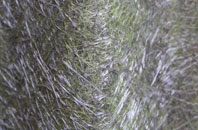 Coa fibreglass roof work