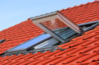 Coa roof window